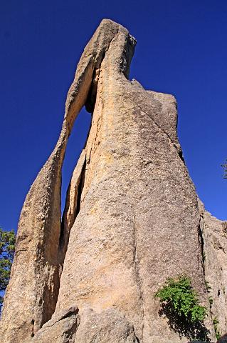 131 custer state park, the needle.JPG